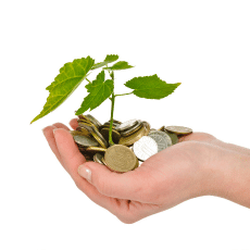 untitled design (66)